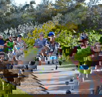 Husky Half Running Festival - Holiday Adelaide