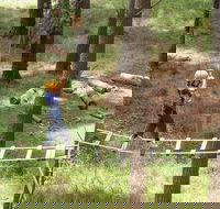 July 2020 Holidays- Go Wild at the Mt Lofty Adventure Hub - Holiday Adelaide