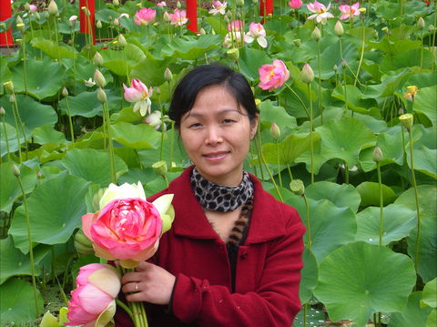 Lotus Flower Season - Holiday Adelaide 1