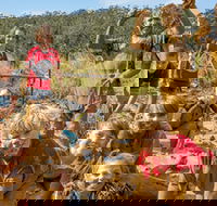 Mini Muddies Obstacle Challenge at Bunnamagoo Estate - Holiday Adelaide