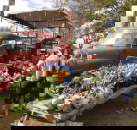 Murphys Creek Markets - Holiday Adelaide