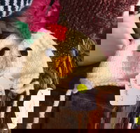 Murrindindi Beanie  Fibre Festival Online - Holiday Adelaide