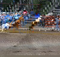 North Queensland Elite Rodeo - Holiday Adelaide