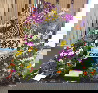 Orchids Out West - Holiday Adelaide