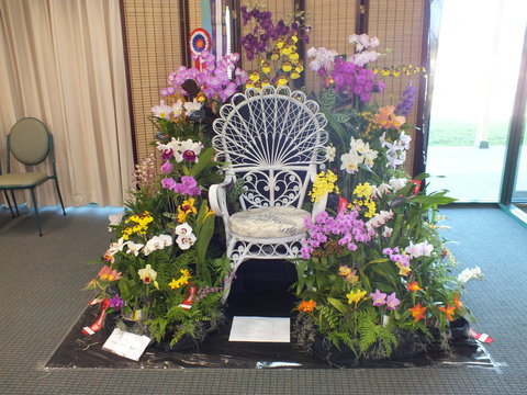 Orchids Out West - Holiday Adelaide 0