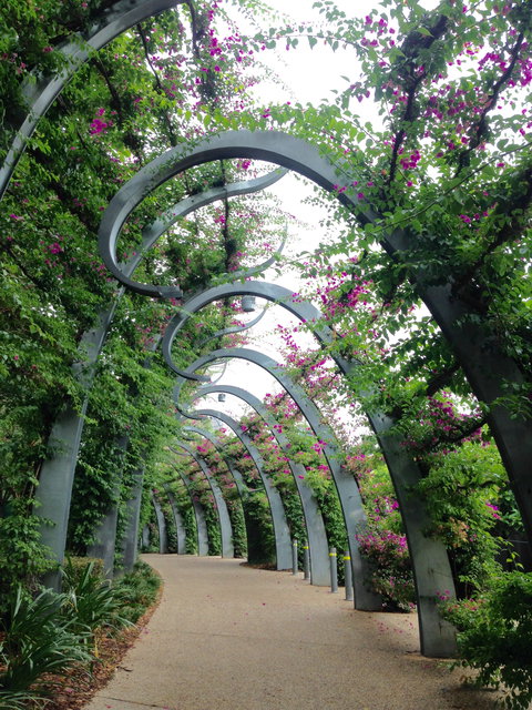 Photography Class / Tour Of Brisbane - Holiday Adelaide 0