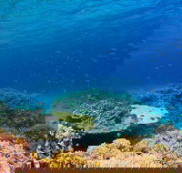 Recovery of the Great Barrier Reef - Holiday Adelaide