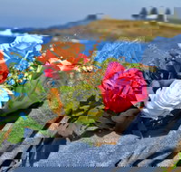 Roses by the Seaside National Rose Championships and Conference - Holiday Adelaide