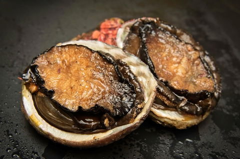 San Remo Fishing Festival - Holiday Adelaide 1