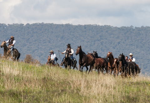 The Man From Snowy River Bush Festival - Holiday Adelaide 1