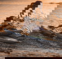 The Bay Games - Jervis Bay - Holiday Adelaide