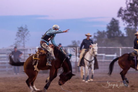 Walgett Charity Bushman's Carnival Rodeo And Campdraft - Holiday Adelaide 1
