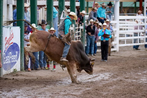 Warwick Rodeo National APRA National Finals And Warwick Gold Cup Campdraft - Holiday Adelaide 1