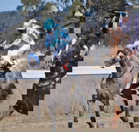 Wean Picnic Races - Holiday Adelaide