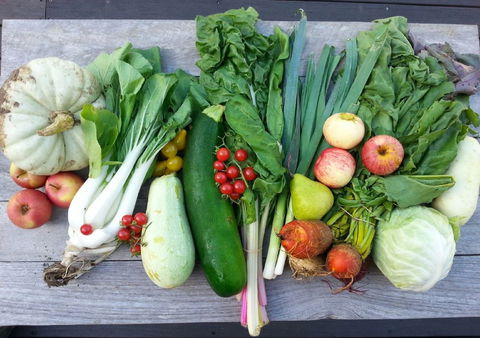 Wingham Farmers Market - Holiday Adelaide 0