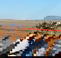 2020 Quorn Cup - Holiday Adelaide