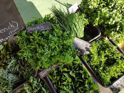 Carlton Farmers' Market - Holiday Adelaide 2