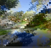 Conservation Volunteers Australia Townsville - Creekwatch - Holiday Adelaide