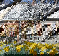 Daffodils at Rydal - Holiday Adelaide