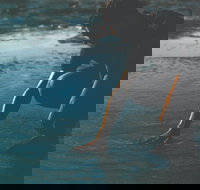 Flow - Holiday Adelaide