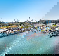 Fred Williams Aquatic Festival - Holiday Adelaide