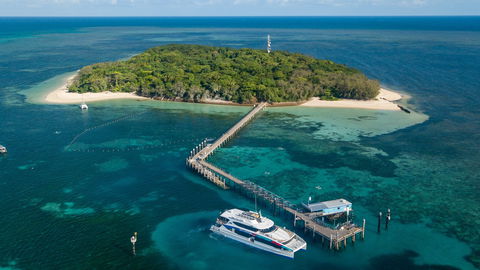Great Adventures Green Island Ocean Swim - Holiday Adelaide 0