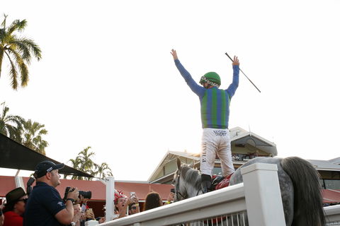 Great Northern Darwin Cup Carnival - Holiday Adelaide 1