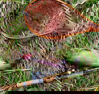 Guyra TroutFest - Holiday Adelaide