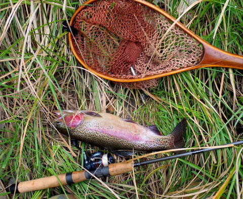 Guyra TroutFest - Holiday Adelaide 0