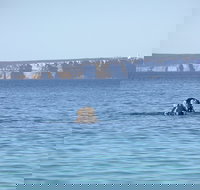 Jervis Bay's Sydney to Hobart Experience - Holiday Adelaide