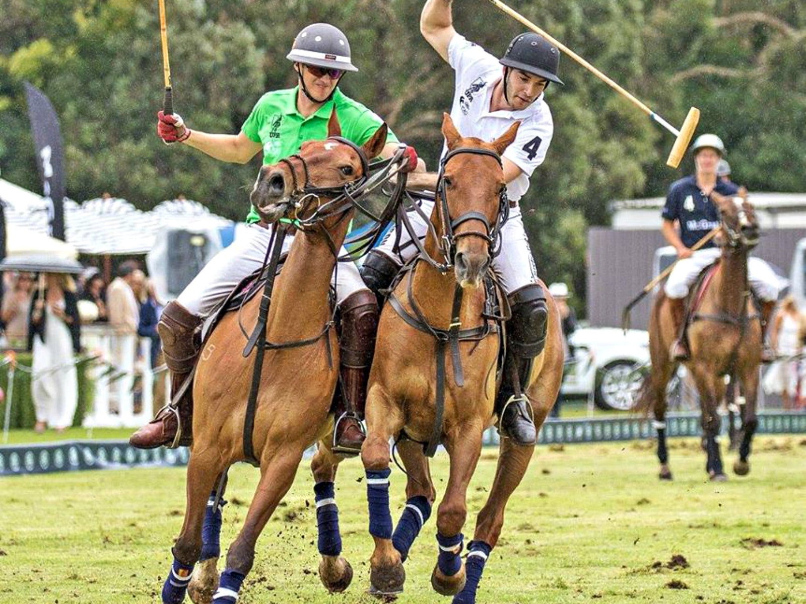 Centennial Park NSW Holiday Adelaide