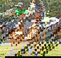 Land Rover Polo in the City - Holiday Adelaide