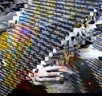 Ltape Australia by Tour de France - Holiday Adelaide