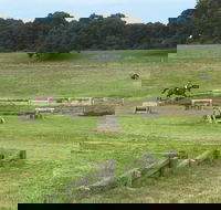 Mount Gambier and District Pony Club Horse Trials 2020 - Holiday Adelaide