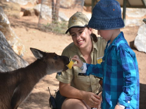 Mums And Cubs! And Dads Too! - Holiday Adelaide 0