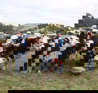 Noorat Show - Holiday Adelaide