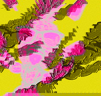 Northern Fringe Festival - Holiday Adelaide