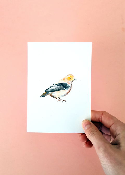 NW Niche Christmas Market In Burnie - Holiday Adelaide 1