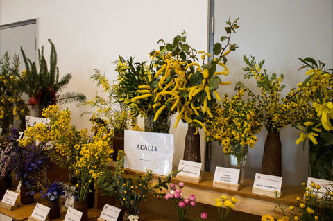 Pomonal Native Flower Show - Holiday Adelaide 0