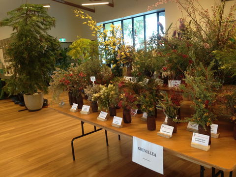 Pomonal Native Flower Show - Holiday Adelaide 2