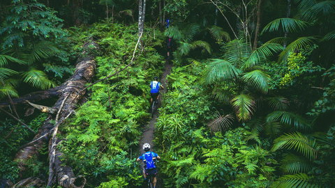 Reef To Reef - Holiday Adelaide 7