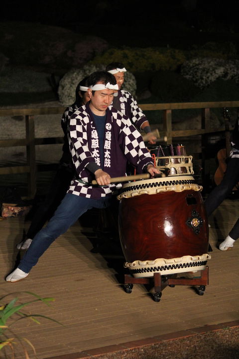 Sakura Matsuri  - Cherry Blossom Festival - In Doubt Due To Covid-19 - Holiday Adelaide 1