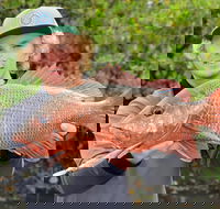 SCF Research and Sustainability Competition