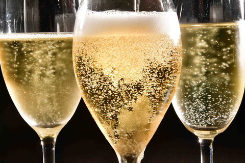 Sparkling Sydney - Holiday Adelaide 2