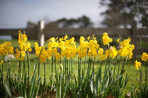 Sunday At Cruden Farm - Holiday Adelaide 0