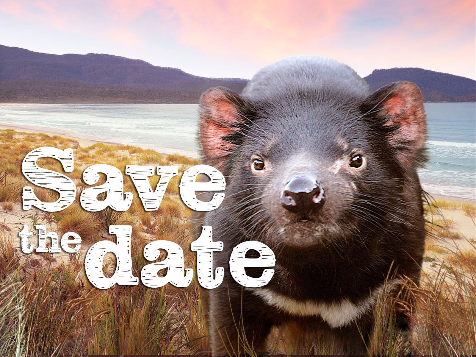 Tiberias TAS Holiday Adelaide