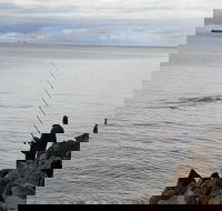 Whale Watching in Portland - Holiday Adelaide