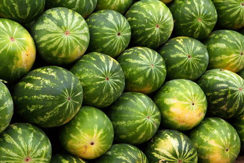 Yeppoon Community Market - Holiday Adelaide 2