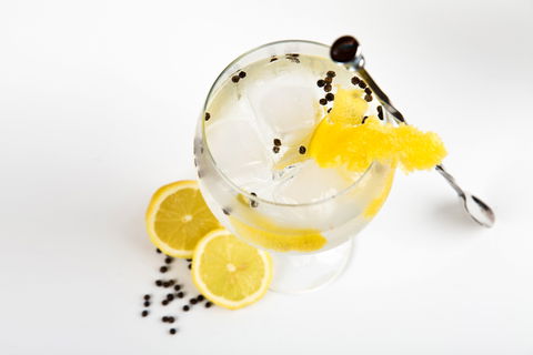 Online Live Streaming Class: Make Four Gin Cocktails - Holiday Adelaide 0