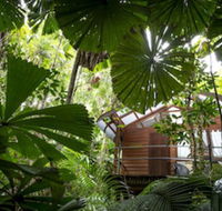 Daintree Wilderness Lodge - Holiday Adelaide